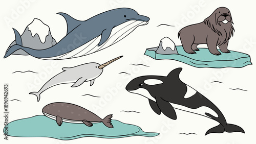 Arctic Marine Mammals Illustration for Children's Education Website Design Polar Wildlife Poster