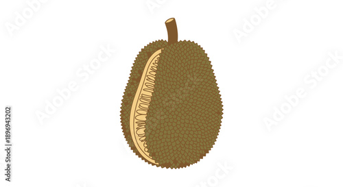 Illustration of a Spiky Brown Durian Fruit with Stem.