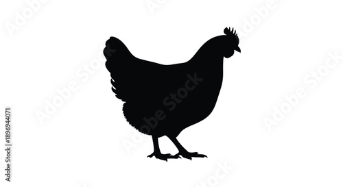 Black silhouette of a hen standing in profile against a white background