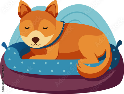 Scene with dog sleeping on the pet bed , white background
