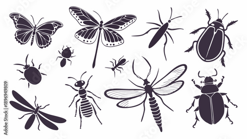 Diverse Insect Collection Silhouettes for Entomology Education Science Projects Pest Control Design Elements
