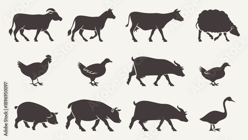 Farm Animal Silhouettes Vector Set Livestock Poultry Domestic Creatures for Agriculture Education Food Industry Design Projects