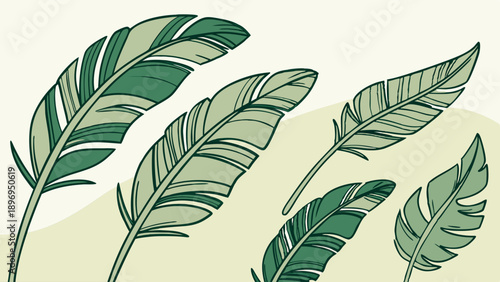 Graceful Green Feathers Floating Softly for Nature Design Projects Website Banners or Eco Branding Backgrounds