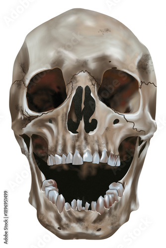 Open mouth human skull illustration, dramatic horror anatomy isolated background.