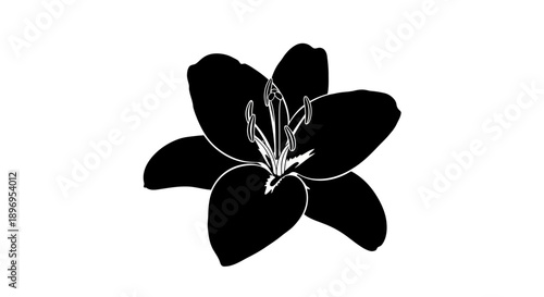 Silhouette of a blooming lily flower with visible stamens and petals.
