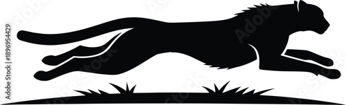 Dynamic silhouette of a cheetah in a powerful running stride over minimal grass