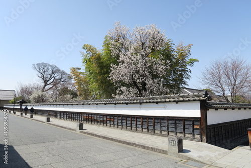 白壁