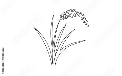 Single stalk of rice plant, minimalist line drawing
