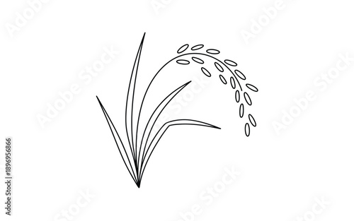 Simple line drawing of a rice plant stalk