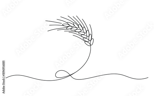 Single wheat ear on a curve, minimalist line drawing
