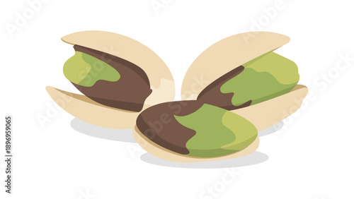 Set roasted pistachio nuts in shell group for healthy snack package and organic food design. vector illustration