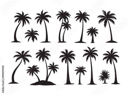 set of palm trees
Palm Tree Silhouette Set
Tropical Palm Trees Collection
Beach Palm Silhouettes Pack