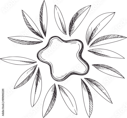 Hand drawn of star shape with surrounding leaves