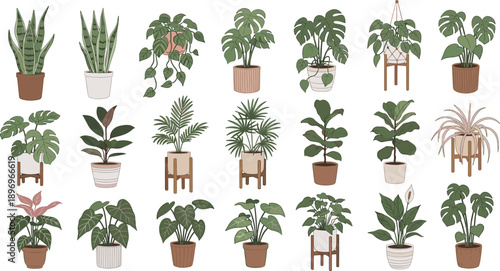 Collection of hand drawn indoor house plants in ceramic pots with Monstera Snake plant and Fiddle leaf fig for home interior decoration and nature illustration