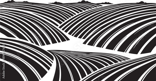 Black and white abstract landscape with curved lines pattern