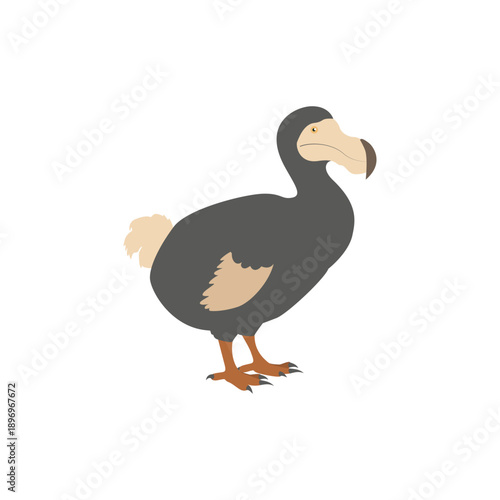 Illustration of a Dodo Bird