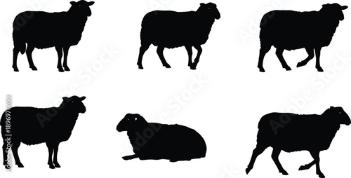 Black sheep silhouettes in various poses, standing, walking, lying down, farm animal vector illustration for agriculture, wool, ranch, rural livestock design