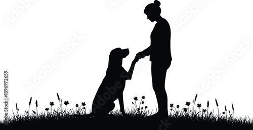 Silhouette of woman training dog outdoors, pet obedience practice, dog giving paw, grass field scene, loving bond, nature training moment