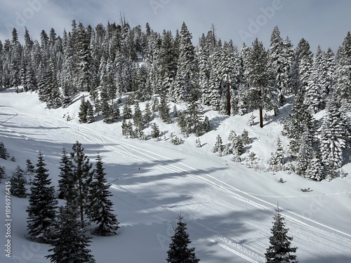 
View from the chairlift of the trees and trails on the ski slopes of Heavenly Ski Resort in Lake Tahoe in the winter
