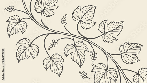 Elegant Grapevine Border Flourish for Wine Labels Invitations Elegant Wedding Decor Vintage Botanical Illustration