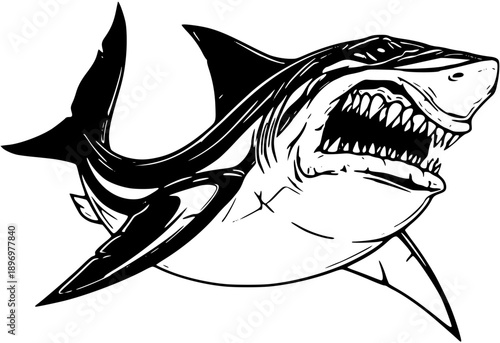Fierce shark with sharp teeth in aggressive post