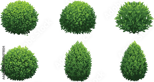 Set of green topiary bushes, decorative garden shrubs, isolated foliage plants, natural landscaping elements, rounded and cone-shaped hedges.