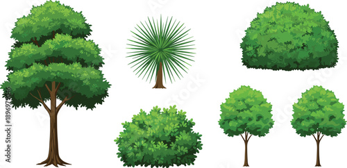 Set of diverse green trees and bushes, including tropical palm, leafy trees, and dense shrubs for landscape or forest design.