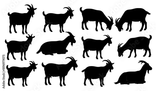 Goat silhouette vector set farm animal in various natural poses