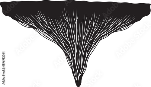 Black and white illustration of tree roots growing downward