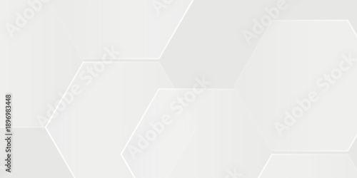 Abstract white and gray background. smooth abstract background, blurred pattern. Light pale vector background. Abstract pale geometric design