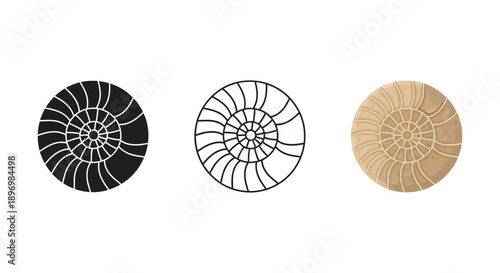 Artisan Spiral Nautilus Seashell Icon Set featuring Geometric Shell Design in Silhouette, Minimalist Outline, and Natural Sand Textured Graphic Styles