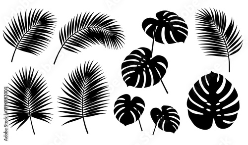 Tropical Palm and Monstera Leaves Realistic 3D Vector Jungle Collection