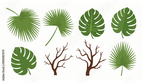 Summer Jungle Palm and Monstera Leaves Vector Botanical Collection