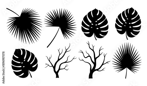 Summer Jungle Palm and Monstera Leaves Vector Botanical Collection