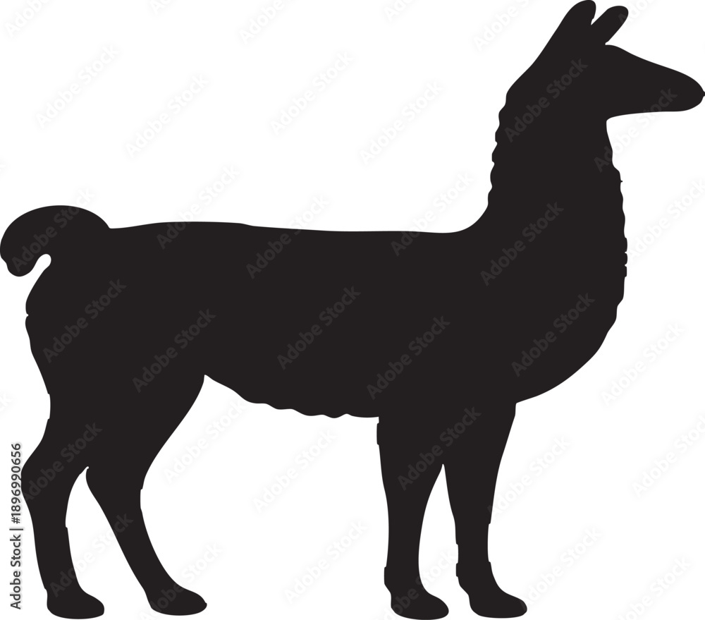 Fototapeta premium Crisp Llama Silhouette Vector Illustration