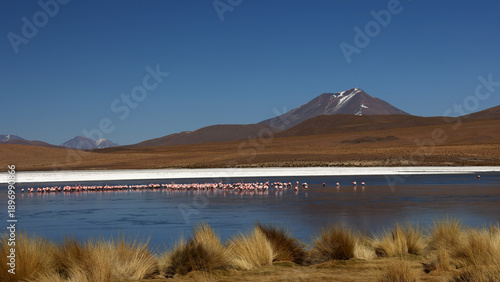 Wallpaper Mural View of a lagoon in the Bolivian highlands, Bolivia Torontodigital.ca