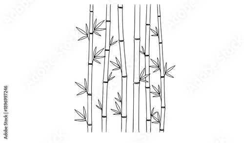 Minimal bamboo stalks and leaves black and white line art pattern zen botanical style