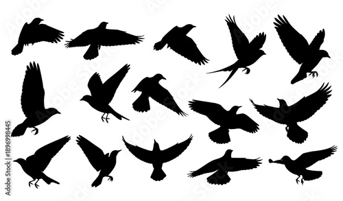 Flying Birds Black Silhouette Shadow Pack Wildlife Vector Clipart Set
