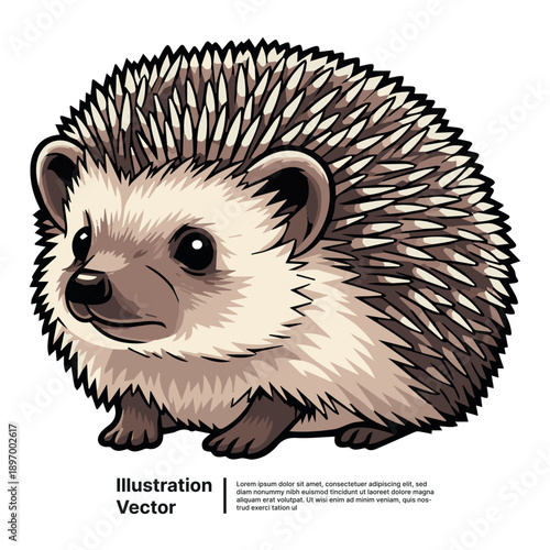 A detailed vector illustration of a hedgehog with spines standing alone