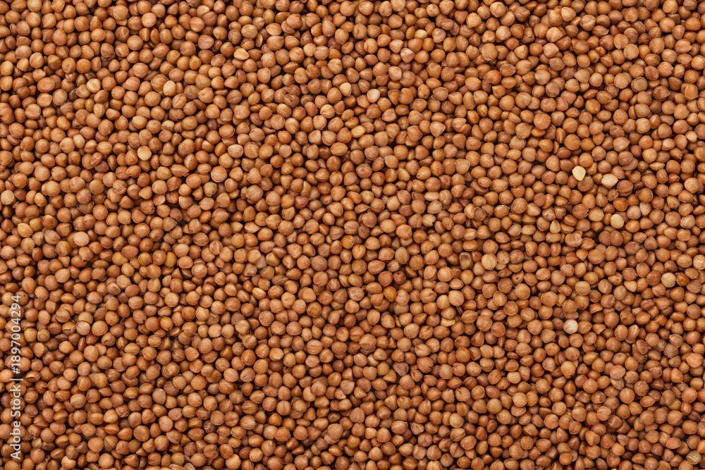 Fototapeta premium buckwheat background