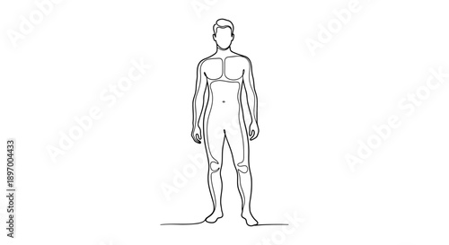 Simple line drawing of a male human figure standing.