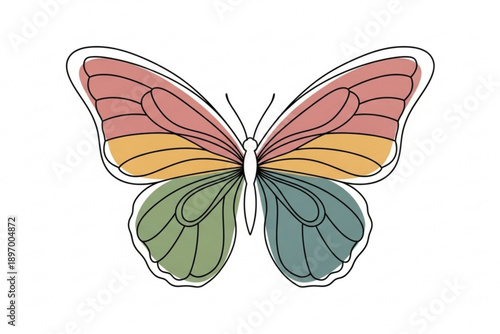 butterfly on a white background