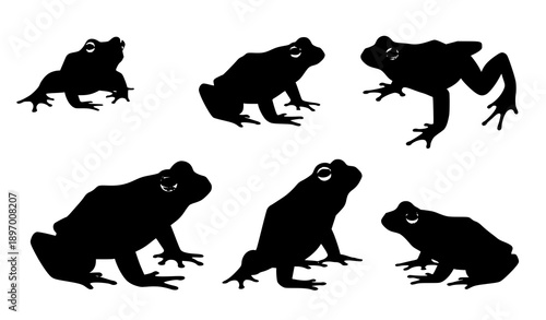Frog silhouette vector set of 6 animals in different poses
