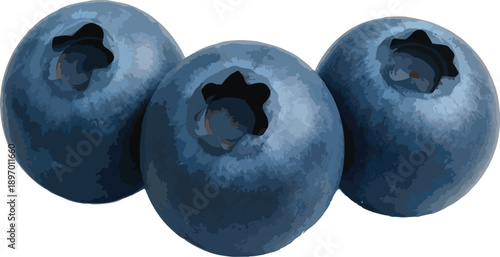 Three Blueberries on White Background fruit