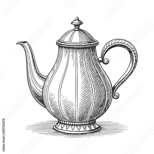 Vintage teapot illustration in classic engraved style. Black and white hand drawn vector teapot isolated on white background. 