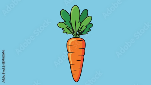 Fresh Orange Carrot with Green Leaves.