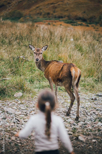 un enfant voie une biche