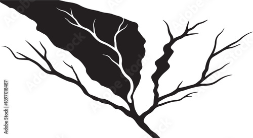 Silhouette of bare tree branches against white background illustration