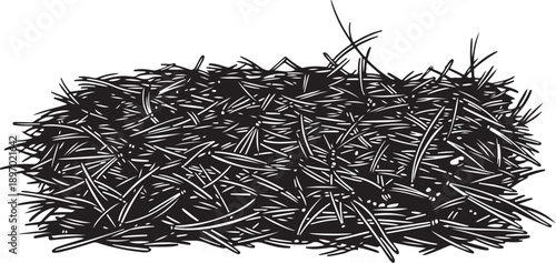 A large pile of sharp metal nails and screws