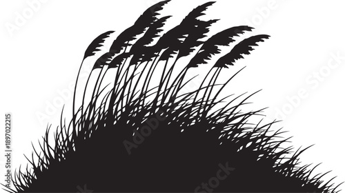 Silhouette of tall grass and plants on white background